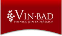 logo vin-bad